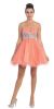 Main image of Strapless Floral Beaded Bust Short Tulle Party Dress